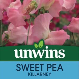 Unwins Flower Sweet Pea Killarney - 11 Seeds