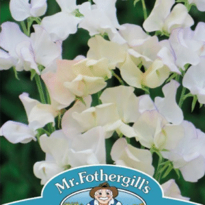 Mr Fothergills Sweet Pea Lady Salisbury Seeds