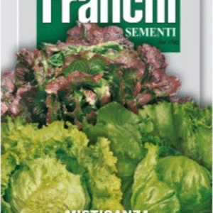 Franchi Seeds of Italy Crunchy Lettuce Mix Di Lattughe Croccanti Seeds