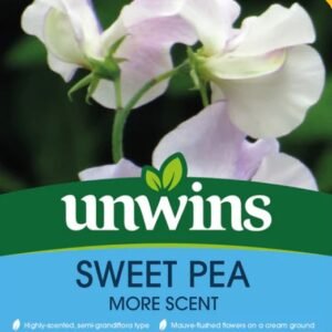 Unwins Flower Sweet Pea More Scent - 21 Seeds