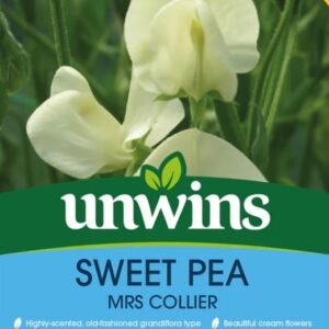 Unwins Flower Sweet Pea Mrs Collier - 21 Seeds