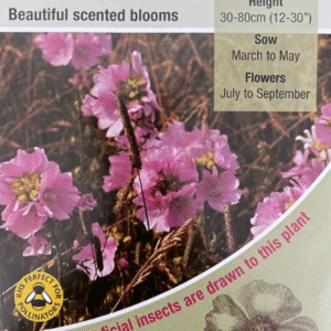 Kings Seeds Wild Musk Mallow 50 Seed