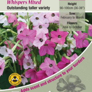 Kings Seeds Nicotiana Whispers Mixed 70 Seed