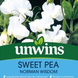 Unwins Flower Sweet Pea Norman Wisdom - 21 Seeds