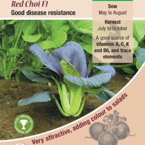 Kings Seeds Pak Choi Red Choi F1 RHS AGM - 150 Seeds