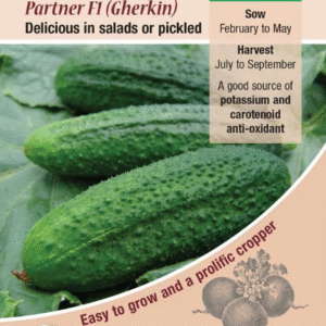 Kings Seeds Cucumber Partner F1 (Gherkin) 20 Seeds