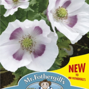 Mr Fothergills - Edible Flower - Poppy Maazad (Bread Seed) Seeds