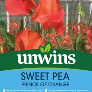 Unwins Flower Sweet Pea Prince Of Orange - 11 Seeds