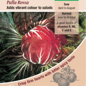 Kings Seeds Radicchio Chicory Palla Rossa 700 seeds
