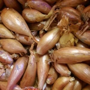 Shallot Sets Red Gourmet