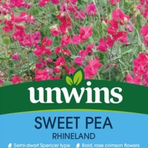 Unwins Flower Sweet Pea Rhineland - 11 Seeds