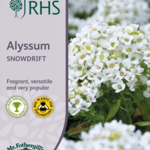 Mr Fothergills - RHS Flower - Alyssum Snowdrift - 1500 Seeds