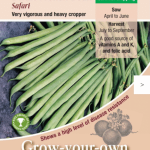 Kings Seeds Dwarf French Bean Safari 125 Seeds