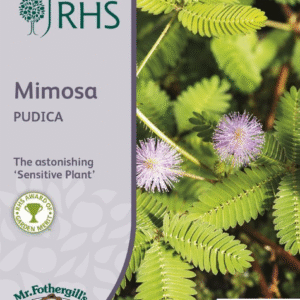 Mr Fothergills RHS Flower Mimosa Pudica 100 Seeds