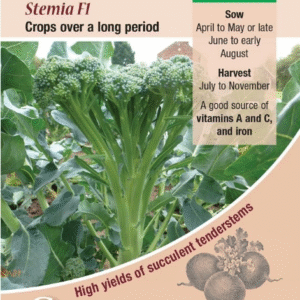 Kings Seeds Calabrese Stemia F1 Seeds