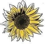 Sunflower Mongolian Giant Seeds