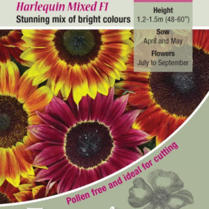 Kings Seeds Sunflower Harlequin Mixed F1 - 25 Seed