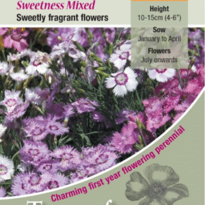 Kings Seeds Dianthus plumarius Sweetness Mixed 50 Seed