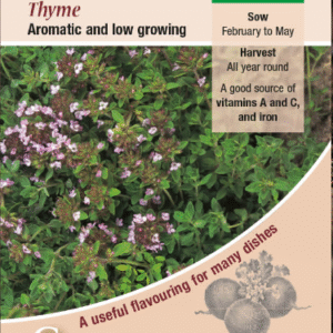 Kings Seeds Herb Thyme 450 Seeds
