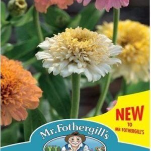 Mr Fothergills - Flower - Zinnia Peaches & Cream Mixed - 75 Seeds