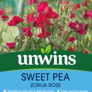 Unwins Flower Sweet Pea Zorija Rose - 11 Seeds